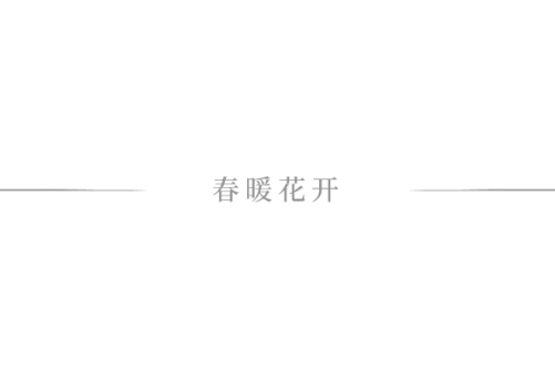 至高享8.5万元补贴 东风雪铁龙/东风标致焕新计划玩法